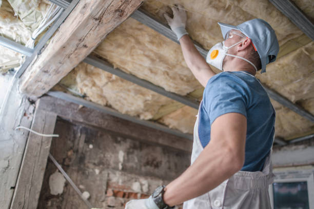 Best Energy Efficiency Insulation in Houghton Lake, MI